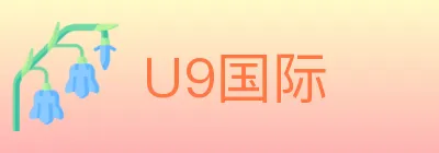 U9国际 logo